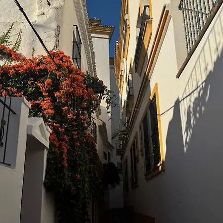 Village * Marbella